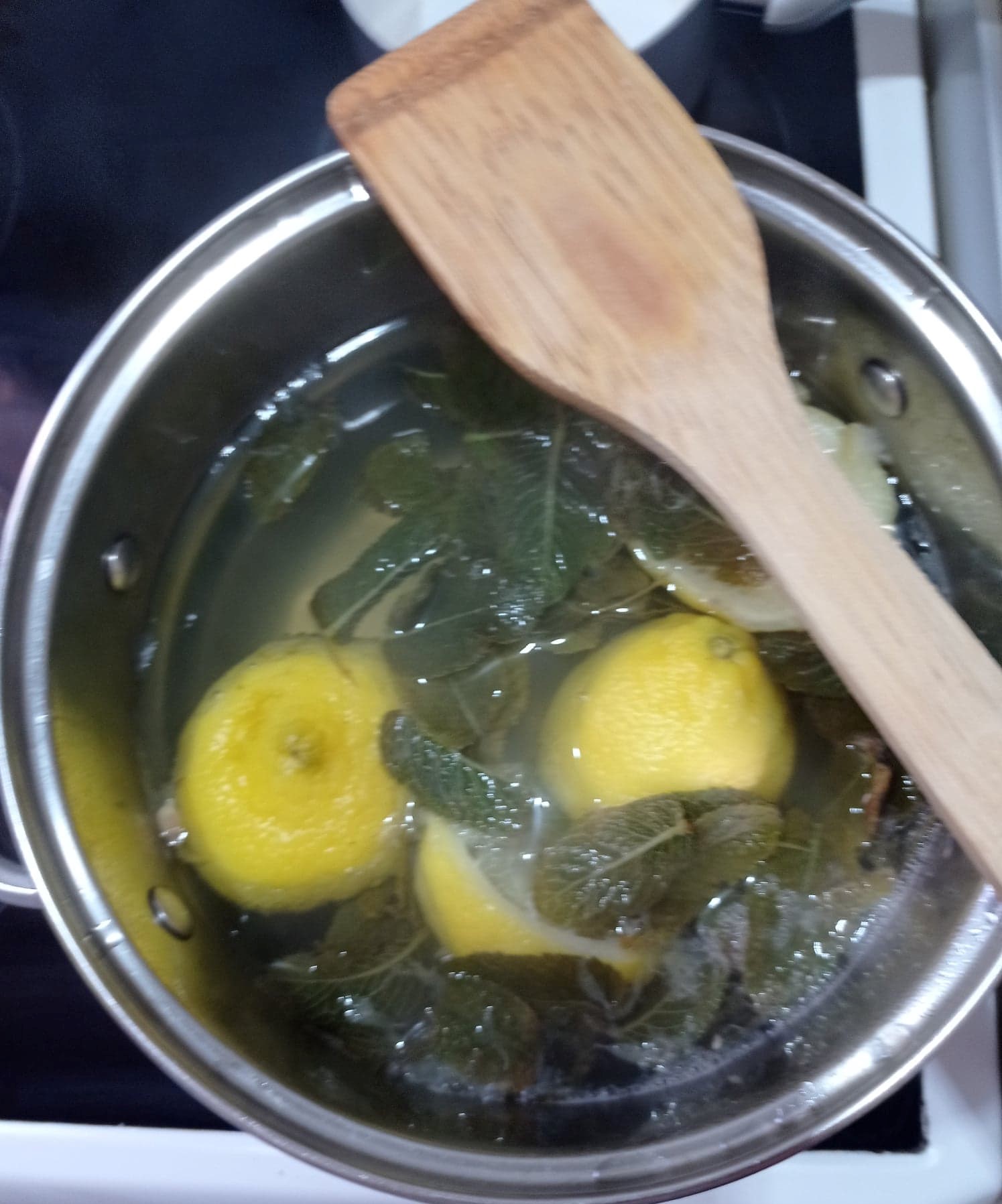 281039332_367523785438962_77819573741027895_n