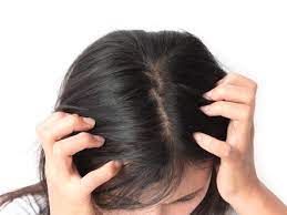 téléchargement (8)